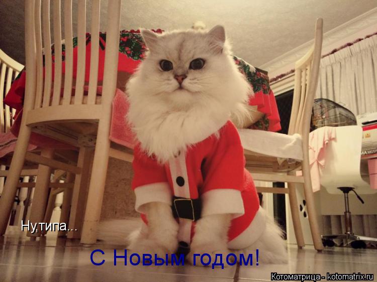 Ну,типа... С Новым годом!... Котоматрица: Ну,типа... С Новым годом!