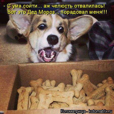 Котоматрица: - С ума сойти... аж челюсть отвалилась! Вот это Дед Мороз... порадовал меня!!!