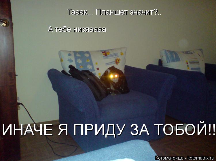 Тааак... Планшет значит?.. А тебе низяаааа ИНАЧЕ Я ПРИДУ ЗА ТОБОЙ!!!!... Котоматрица: Тааак... Планшет значит?.. А тебе низяаааа ИНАЧЕ Я ПРИДУ ЗА ТОБОЙ!!!!
