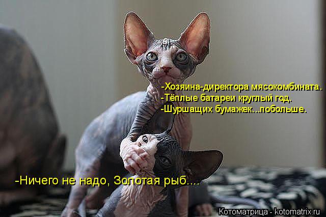-Ничего не надо, Золотая рыб.... -Хозяина-директора мясокомбината. -Тёплые батареи круглый год. -Шурш... Котоматрица: -Ничего не надо, Золотая рыб.... -Хозяина-директора мясокомбината. -Тёплые батареи круглый год. -Шуршащих бумажек...побольше.