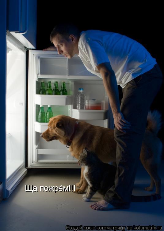 Ща пожрём!!!... Котоматрица: Ща пожрём!!!