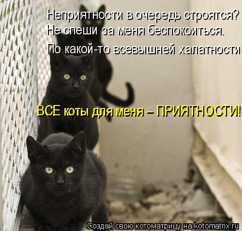 Неприятности в очередь строятся? Не спеши за меня беспокоиться. По какой-то всевышней халатности ВСЕ ... Котоматрица: Неприятности в очередь строятся? Не спеши за меня беспокоиться. По какой-то всевышней халатности ВСЕ коты для меня – ПРИЯТНОСТИ! ВСЕ коты д