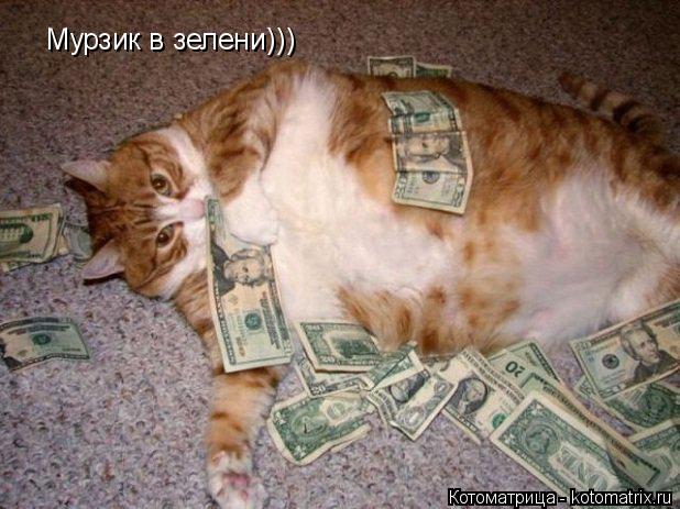 Мурзик в зелени)))... Котоматрица: Мурзик в зелени)))