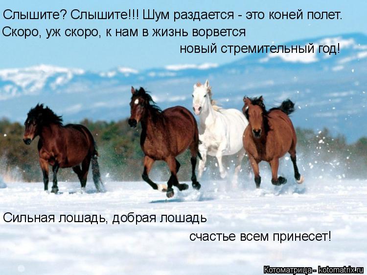 Слышите? Слышите!!! Шум раздается - это коней полет. Скоро, уж скоро, к нам в жизнь ворвется новый ст... Котоматрица: Слышите? Слышите!!! Шум раздается - это коней полет. Скоро, уж скоро, к нам в жизнь ворвется новый стремительный год! Сильная лошадь, добрая ло