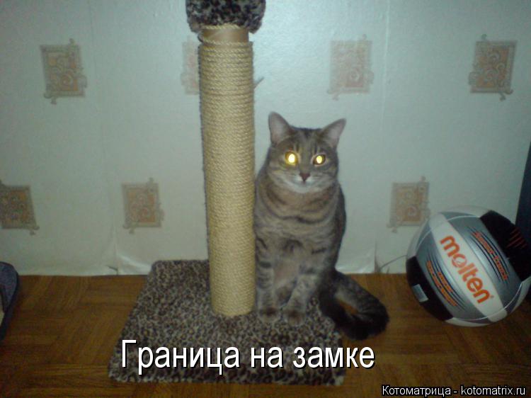 Котоматрица: Граница на замке