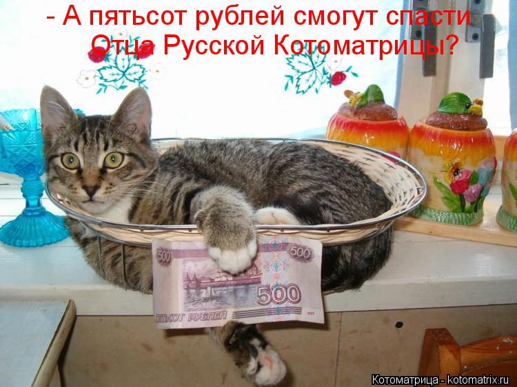 - А пятьсот рублей смогут спасти Отца Русской Котоматрицы?... Котоматрица: - А пятьсот рублей смогут спасти Отца Русской Котоматрицы?
