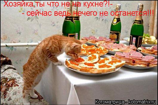 Хозяйка,ты что не на кухне?!- - сейчас ведь нечего не останется!!!... Котоматрица: Хозяйка,ты что не на кухне?!- - сейчас ведь нечего не останется!!!