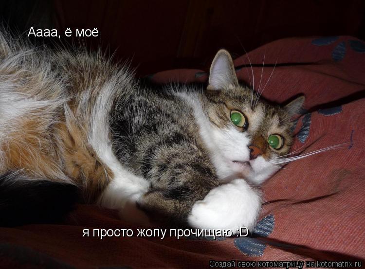 Аааа, ё моё я просто жопу прочищаю :D... Котоматрица: Аааа, ё моё я просто жопу прочищаю :D