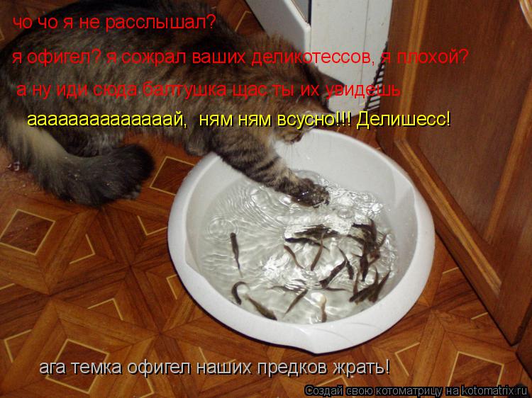 ага темка офигел наших предков жрать! чо чо я не расслышал? я офигел? я сожрал ваших деликотессов, я ... Котоматрица: ага темка офигел наших предков жрать! чо чо я не расслышал? я офигел? я сожрал ваших деликотессов, я плохой? а ну иди сюда балтушка щас ты их у