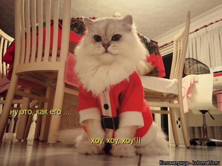 ну это, как его..... хоу, хоу, хоу!!!... Котоматрица: ну это, как его..... хоу, хоу, хоу!!!