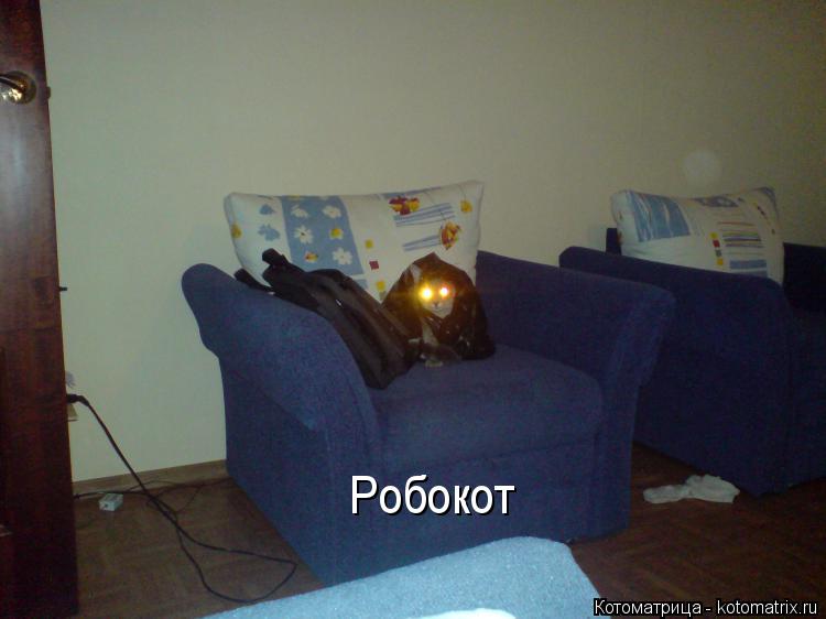 Котоматрица: Робокот