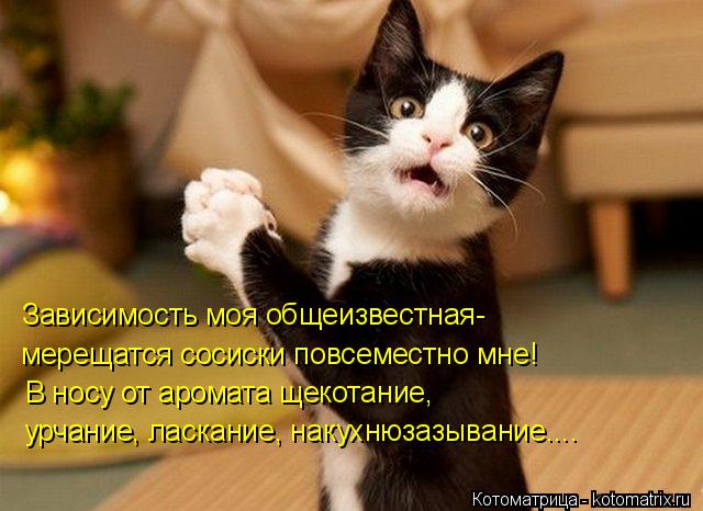 Зависимость моя общеизвестная- мерещатся сосиски повсеместно мне! В носу от аромата щекотание, урчани... Котоматрица: Зависимость моя общеизвестная- мерещатся сосиски повсеместно мне! В носу от аромата щекотание, урчание, ласкание, накухнюзазывание....