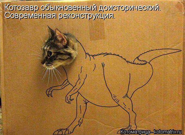Котозавр обыкновенный доисторический. Современная реконструкция.... Котоматрица: Котозавр обыкновенный доисторический. Современная реконструкция.