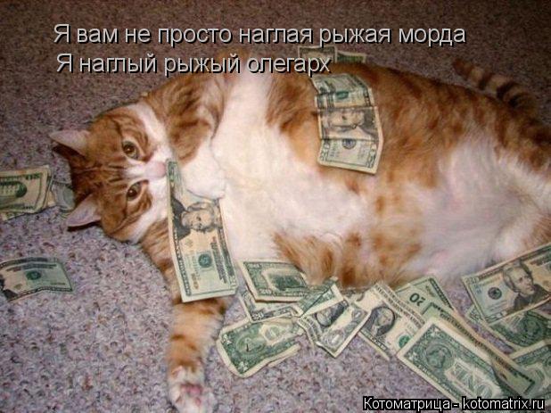 Я вам не просто наглая рыжая морда Я наглый рыжый олегарх... Котоматрица: Я вам не просто наглая рыжая морда Я наглый рыжый олегарх