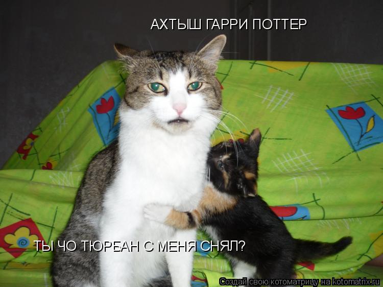 АХТЫШ ГАРРИ ПОТТЕР ТЫ ЧО ТЮРБАН С МЕНЯ СНЯЛ?... Котоматрица: АХТЫШ ГАРРИ ПОТТЕР ТЫ ЧО ТЮРБАН С МЕНЯ СНЯЛ?