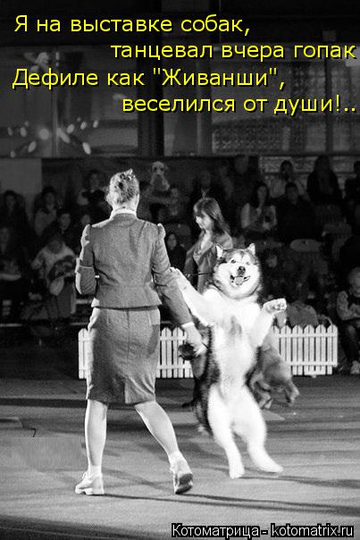 Я на выставке собак, танцевал вчера гопак Дефиле как "Живанши", веселился от души!..... Котоматрица: Я на выставке собак, танцевал вчера гопак Дефиле как "Живанши", веселился от души!..