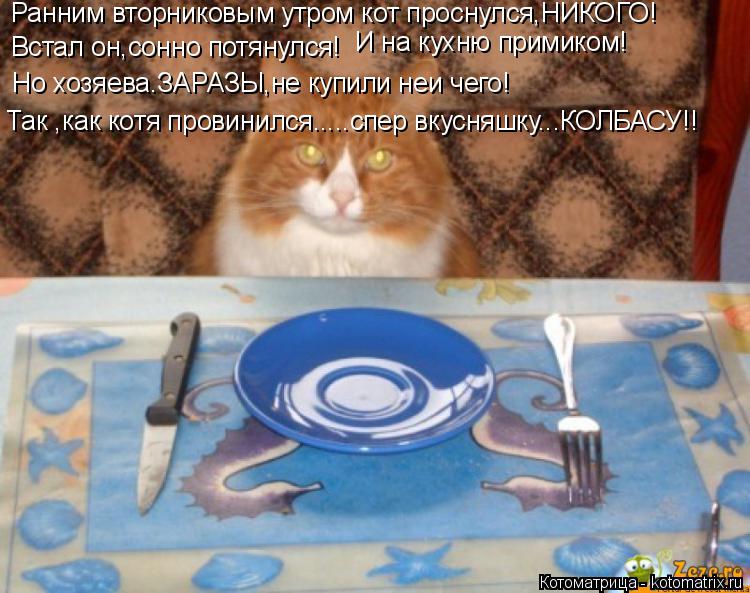 Ранним вторниковым утром кот проснулся,НИКОГО! Встал он,сонно потянулся! И на кухню примиком! Но хозя... Котоматрица: Ранним вторниковым утром кот проснулся,НИКОГО! Встал он,сонно потянулся! И на кухню примиком! Но хозяева.ЗАРАЗЫ,не купили неи чего! Так ,как