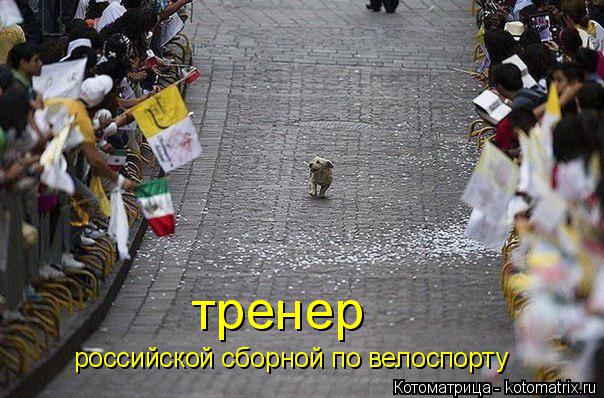 российской сборной по велоспорту тренер... Котоматрица: российской сборной по велоспорту тренер