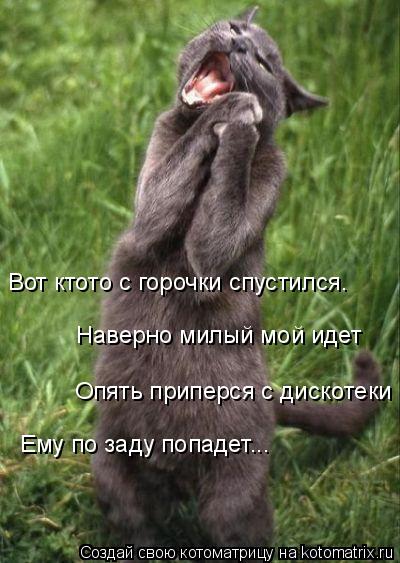 Вот ктото с горочки спустился. Наверно милый мой идет Опять приперся с дискотеки Ему по заду попадет.... Котоматрица: Вот ктото с горочки спустился. Наверно милый мой идет Опять приперся с дискотеки Ему по заду попадет...