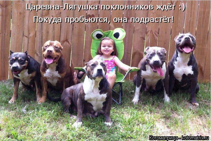 Покуда пробьются, она подрастёт! Царевна-Лягушка поклонников ждёт :)... Котоматрица: Покуда пробьются, она подрастёт! Царевна-Лягушка поклонников ждёт :)