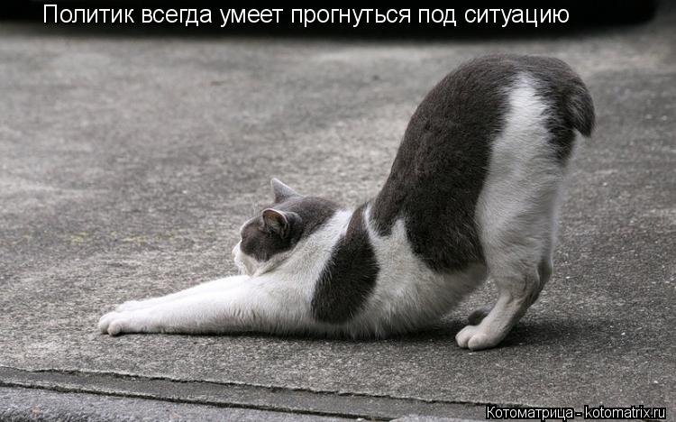 Политик всегда умеет прогнуться под ситуацию... Котоматрица: Политик всегда умеет прогнуться под ситуацию