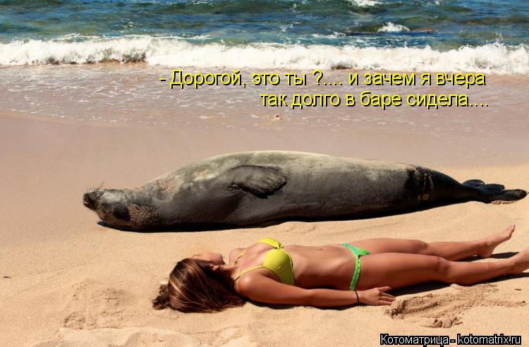 - Дорогой, это ты ?.... и зачем я вчера так долго в баре сидела....... Котоматрица: - Дорогой, это ты ?.... и зачем я вчера так долго в баре сидела....