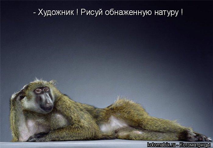- Художник ! Рисуй обнаженную натуру !... Котоматрица: - Художник ! Рисуй обнаженную натуру !