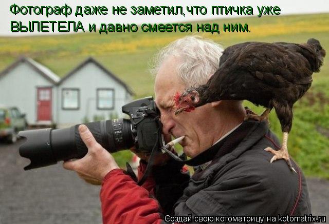 Фотограф даже не заметил,что птичка уже ВЫЛЕТЕЛА и давно смеется над ним.... Котоматрица: Фотограф даже не заметил,что птичка уже ВЫЛЕТЕЛА и давно смеется над ним.
