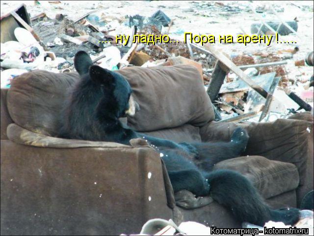.... ну ладно... Пора на арену !........ Котоматрица: .... ну ладно... Пора на арену !.....