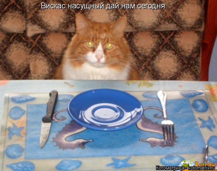 Котоматрица: Вискас насущный дай нам сегодня