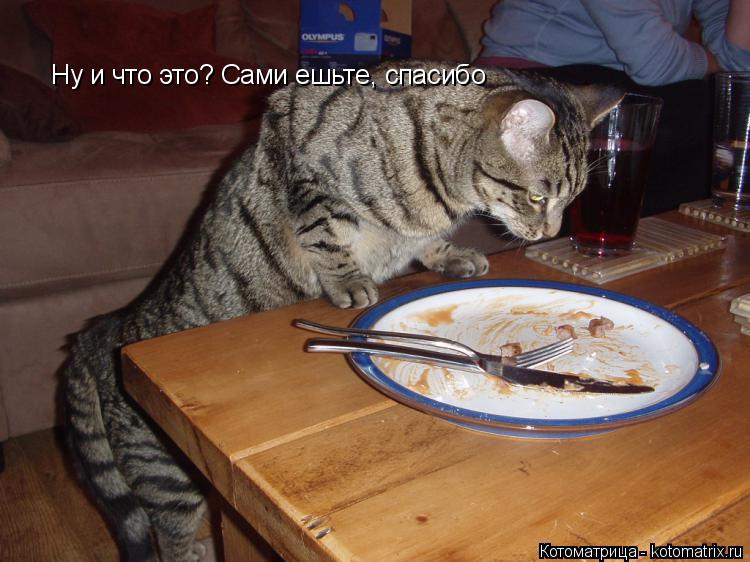 Ну и что это? Сами ешьте, спасибо... Котоматрица: Ну и что это? Сами ешьте, спасибо
