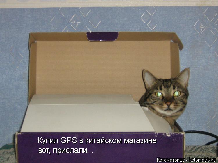Купил GPS в китайском магазине вот, прислали... вот, прислали...... Котоматрица: Купил GPS в китайском магазине вот, прислали... вот, прислали...