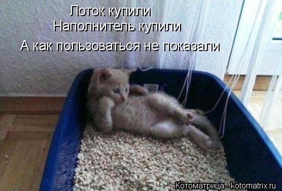 Котоматрица: Лоток купили Наполнитель купили А как пользоваться не показали