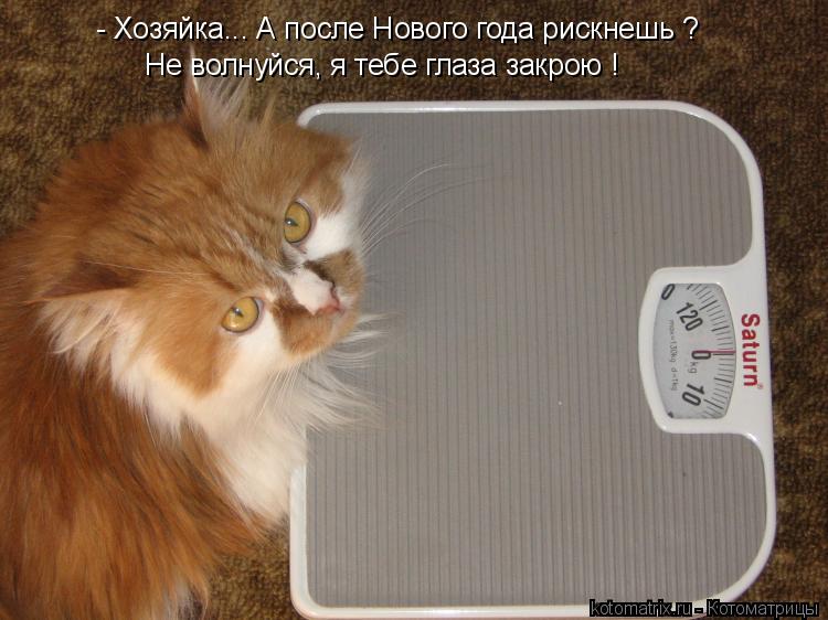 - Хозяйка... А после Нового года рискнешь ? Не волнуйся, я тебе глаза закрою !... Котоматрица: - Хозяйка... А после Нового года рискнешь ? Не волнуйся, я тебе глаза закрою !
