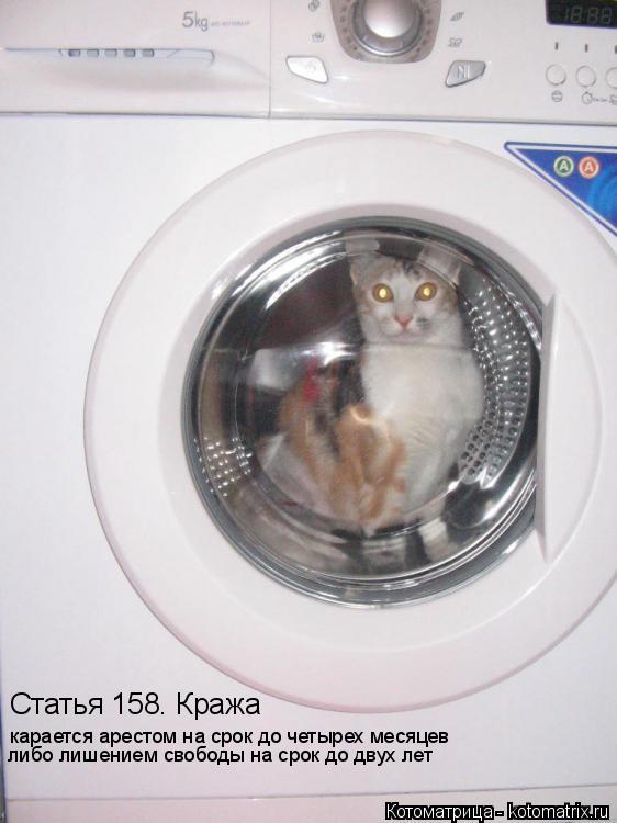 Статья 158. Кража карается арестом на срок до четырех месяцев либо лишением свободы на срок до двух л... Котоматрица: Статья 158. Кража карается арестом на срок до четырех месяцев либо лишением свободы на срок до двух лет