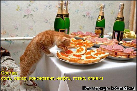 Состав: соль, сахар, консервант, нефть, говно, опилки... Котоматрица: Состав: соль, сахар, консервант, нефть, говно, опилки