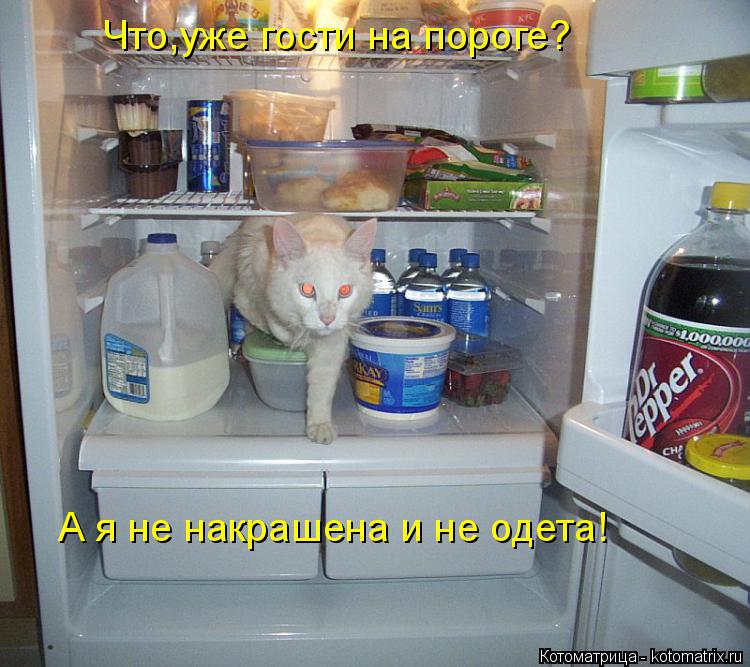 Котоматрица: Что,уже гости на пороге? А я не накрашена и не одета!