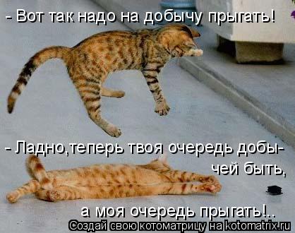 - Вот так надо на добычу прыгать! - Ладно,теперь твоя очередь добы- чей быть, а моя очередь прыгать!.... Котоматрица: - Вот так надо на добычу прыгать! - Ладно,теперь твоя очередь добы- чей быть, а моя очередь прыгать!..