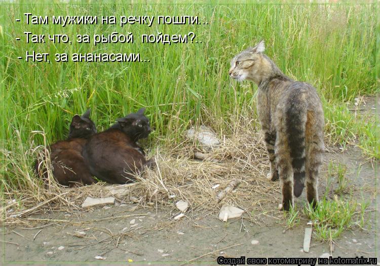 - Там мужики на речку пошли... - Так что, за рыбой пойдем?.. - Нет, за ананасами...... Котоматрица: - Там мужики на речку пошли... - Так что, за рыбой пойдем?.. - Нет, за ананасами...
