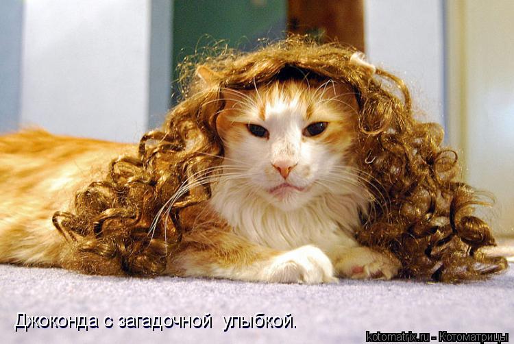Джоконда с загадочной улыбкой. Джоконда с загадочной улыбкой.... Котоматрица: Джоконда с загадочной улыбкой. Джоконда с загадочной улыбкой.