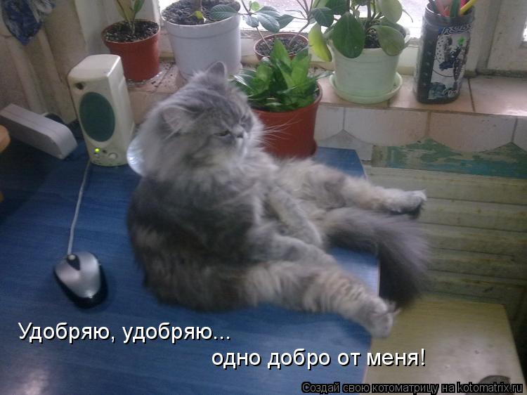 Удобряю, удобряю... одно добро от меня!... Котоматрица: Удобряю, удобряю... одно добро от меня!