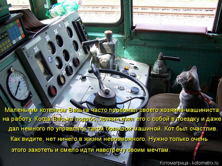 Маленьким котенком Васька часто провожал своего хозяина-машиниста на работу. Когда Васька подрос, хоз... Котоматрица: Маленьким котенком Васька часто провожал своего хозяина-машиниста на работу. Когда Васька подрос, хозяин взял его с собой в поездку и даже