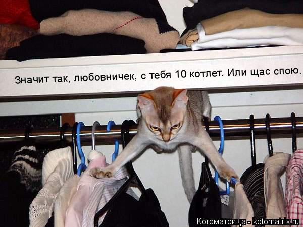 Значит так, любовничек, с тебя 10 котлет. Или щас спою...... Котоматрица: Значит так, любовничек, с тебя 10 котлет. Или щас спою...