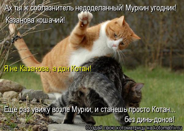 Ах ты ж соблазнитель недоделанный! Муркин угодник! Казанова кошачий! Я не Казанова, а дон Котан! Ещ... Котоматрица: Ах ты ж соблазнитель недоделанный! Муркин угодник! Казанова кошачий! Я не Казанова, а дон Котан! Еще раз увижу возле Мурки, и станешь просто