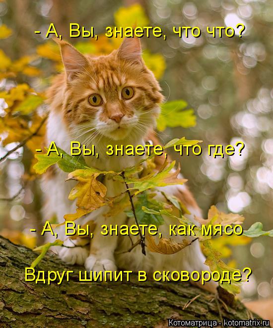 - А, Вы, знаете, что что? - А, Вы, знаете, что где? - А, Вы, знаете, как мясо Вдруг шипит в сковороде... Котоматрица: - А, Вы, знаете, что что? - А, Вы, знаете, что где? - А, Вы, знаете, как мясо Вдруг шипит в сковороде?