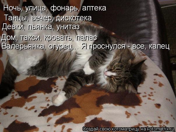 Ночь, улица, фонарь, аптека Танцы, вечер, дискотека Девки, пьянка, унитаз Дом, такси, кровать, палас ... Котоматрица: Ночь, улица, фонарь, аптека Танцы, вечер, дискотека Девки, пьянка, унитаз Дом, такси, кровать, палас Валерьянка, огурец... Я проснулся - все, кап