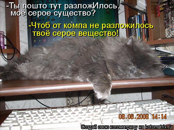 -Ты пошто тут разложИлось, моё серое существо? -Чтоб от компа не разложилось твоё серое вещество!... Котоматрица: -Ты пошто тут разложИлось, моё серое существо? -Чтоб от компа не разложилось твоё серое вещество!