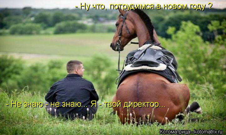 - Ну что, потрудимся в новом году ? - Не знаю - не знаю... Я - твой директор...... Котоматрица: - Ну что, потрудимся в новом году ? - Не знаю - не знаю... Я - твой директор...