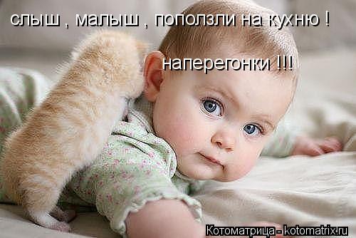 слыш , малыш , поползли на кухню ! наперегонки !!!... Котоматрица: слыш , малыш , поползли на кухню ! наперегонки !!!