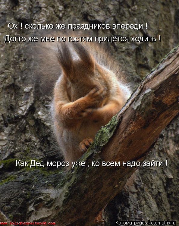 Ох ! сколько же праздников впереди ! Долго же мне по гостям придётся ходить ! Как Дед мороз уже , ко ... Котоматрица: Ох ! сколько же праздников впереди ! Долго же мне по гостям придётся ходить ! Как Дед мороз уже , ко всем надо зайти !